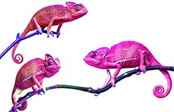 gruppen-unterricht-nachhilfe